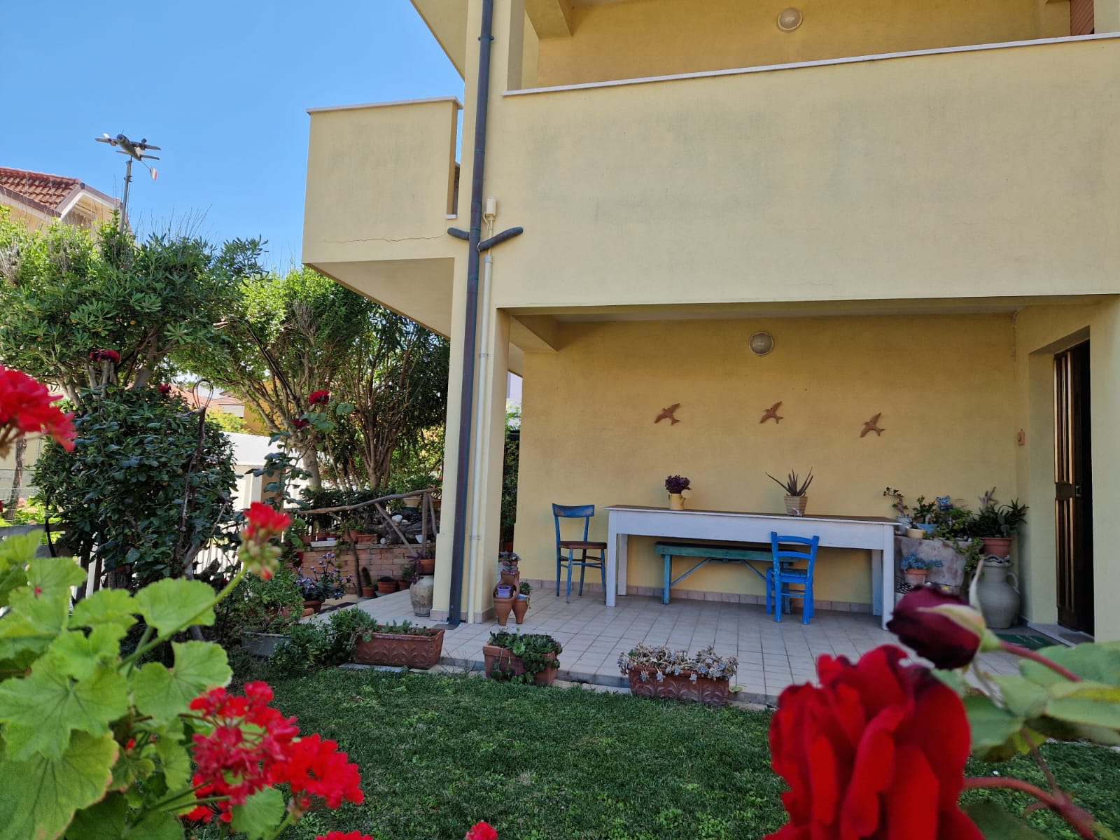 descrizione immagine