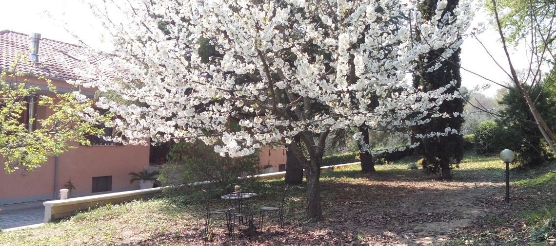 descrizione immagine