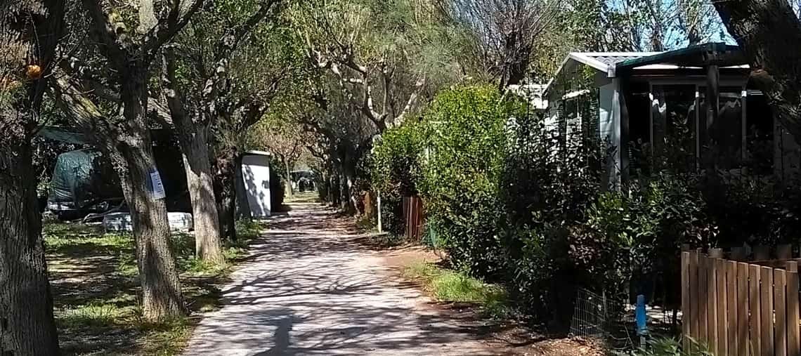 descrizione immagine