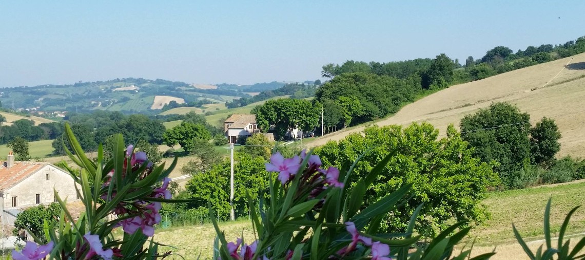 descrizione immagine