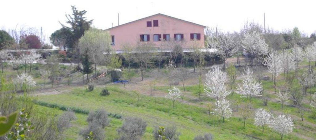 descrizione immagine