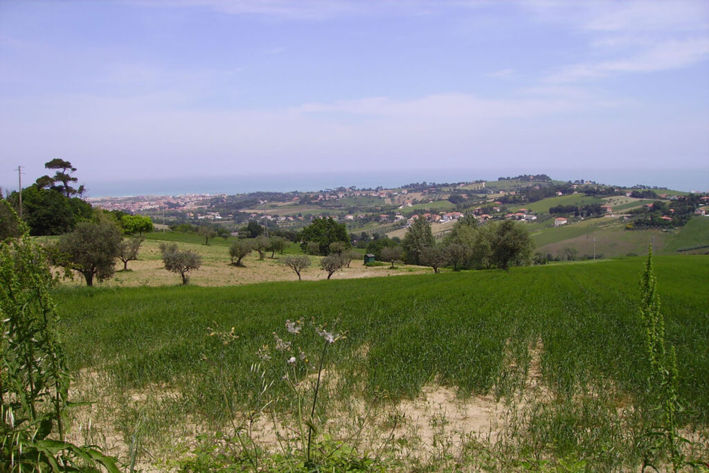 descrizione immagine