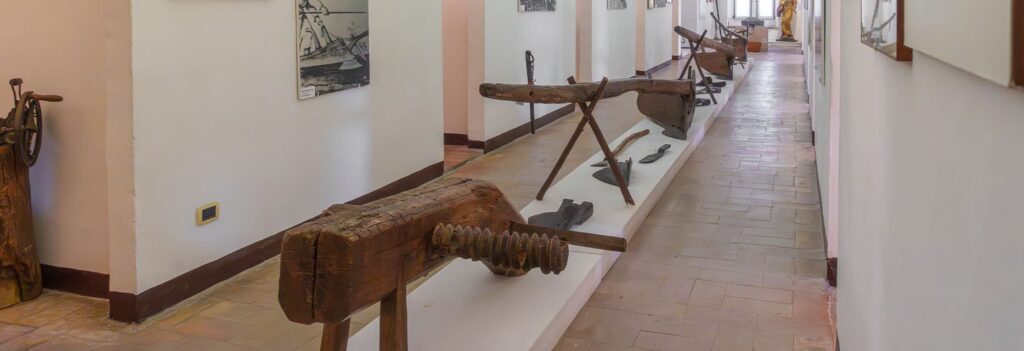 immagine Museo di Storia della Mezzadria Sergio Anselmi